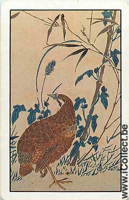 Single Swap Playing Cards Animal Bird (PS10-15A)