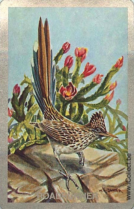 Single Swap Playing Cards Bird Roadrunner (PS20-53F)