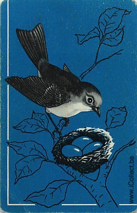 Single Swap Playing Cards Bird (PS20-53I)