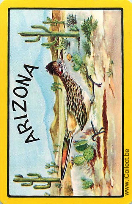 Single Swap Playing Cards Bird Arizona (PS20-54A)