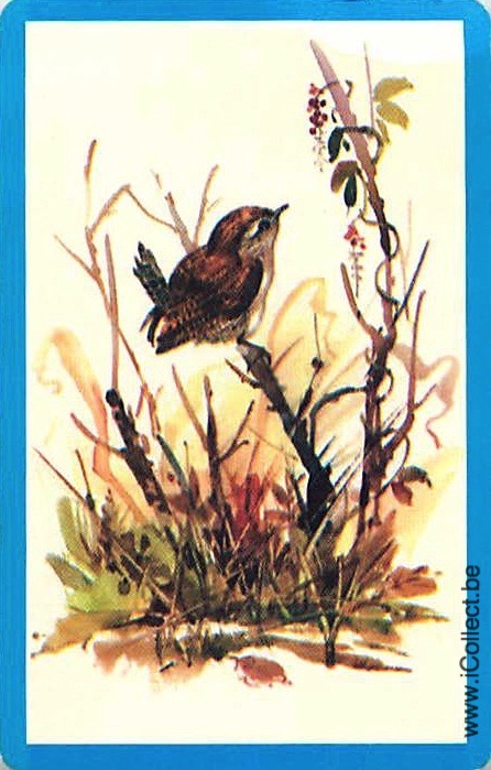 Single Swap Playing Cards Bird Bird (PS18-58D) - Click Image to Close