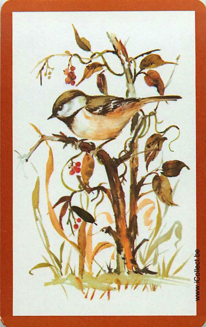 Single Swap Playing Cards Bird (PS12-01A) - Click Image to Close