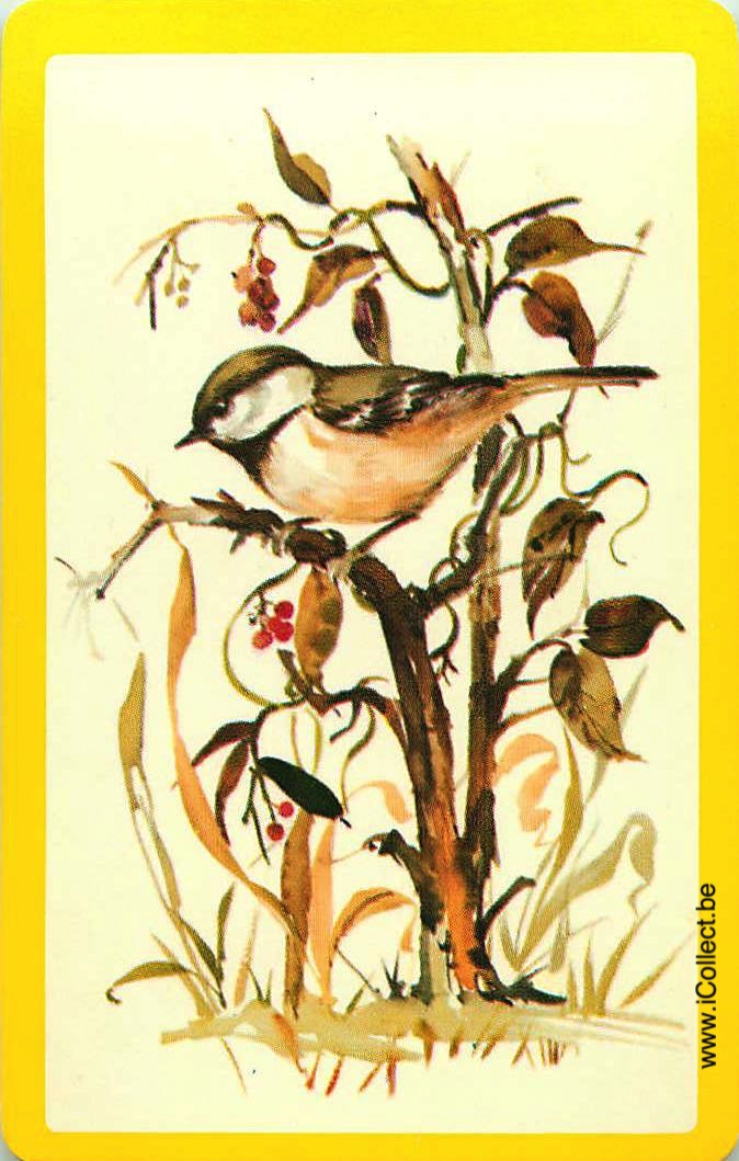 Single Swap Playing Cards Bird (PS12-02D) - Click Image to Close