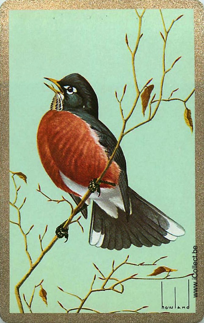 Single Swap Playing Cards Bird Howland (PS12-03B)