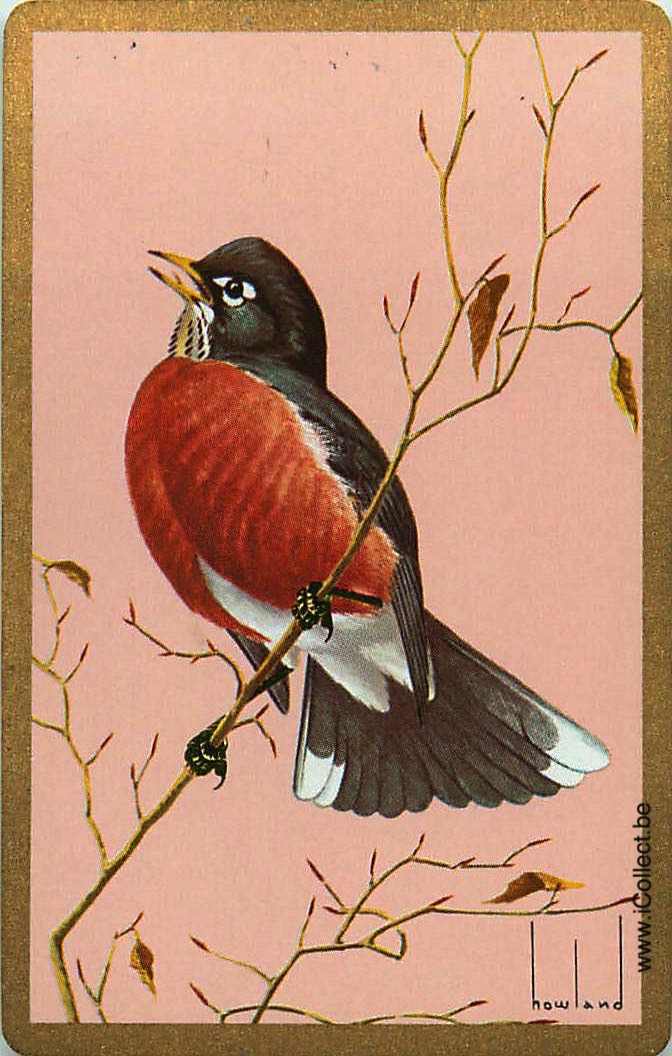 Single Swap Playing Cards Bird Howland (PS12-04B) - Click Image to Close