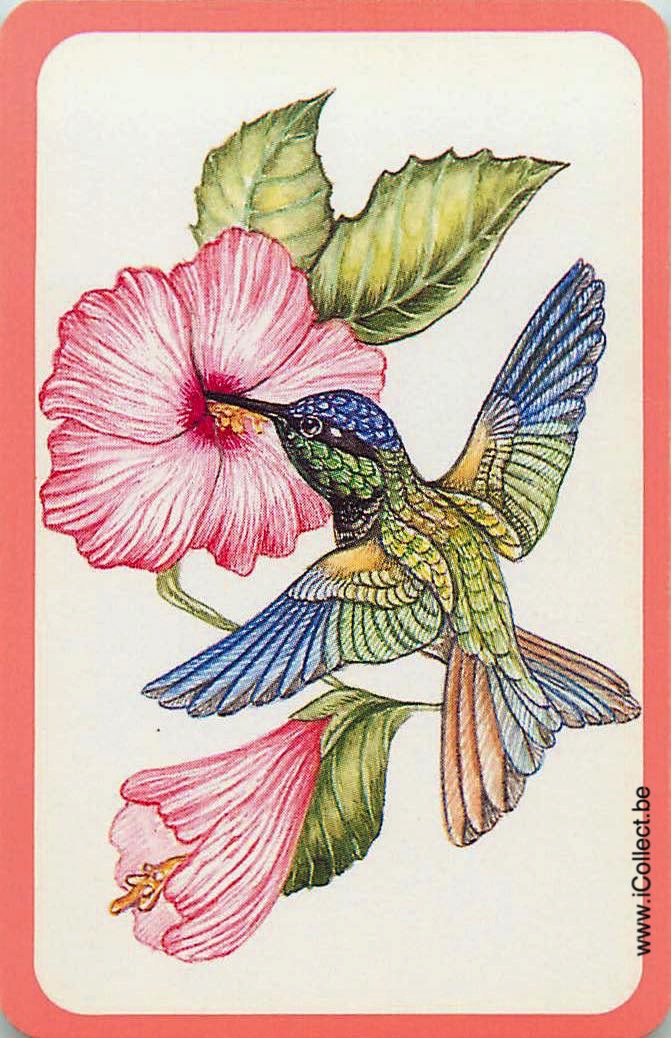 Single Swap Playing Cards Bird (PS12-07I)