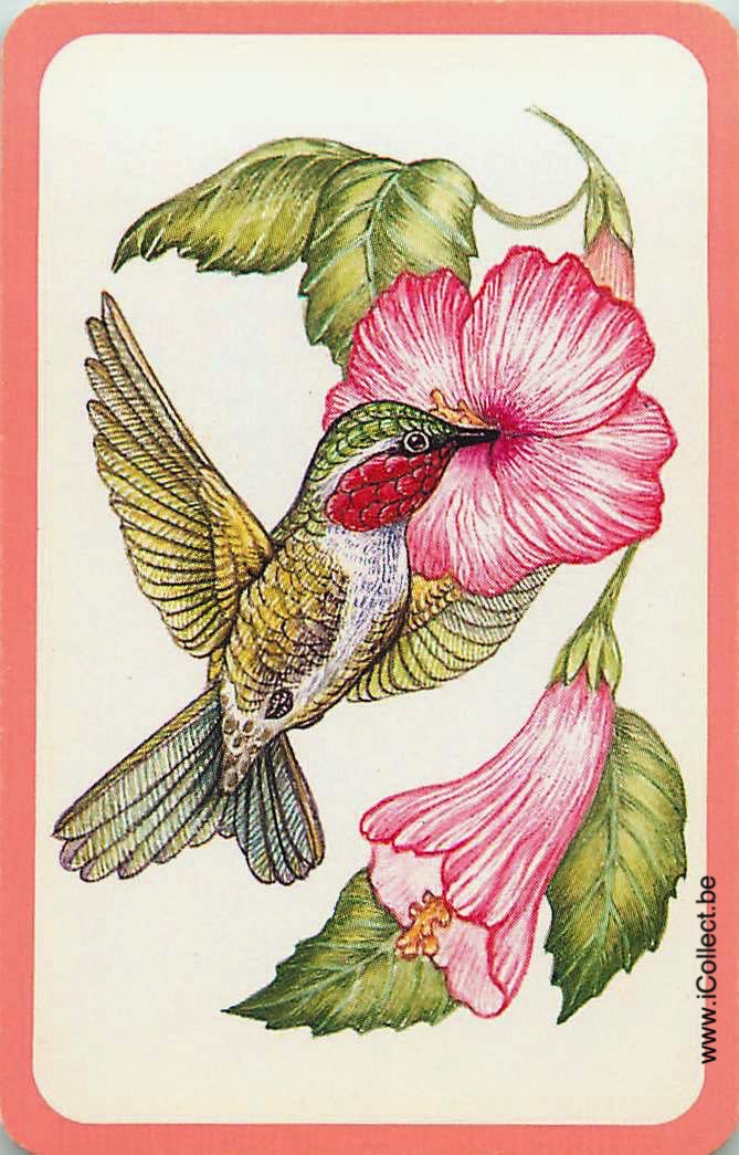 Single Swap Playing Cards Bird (PS12-08D) - Click Image to Close