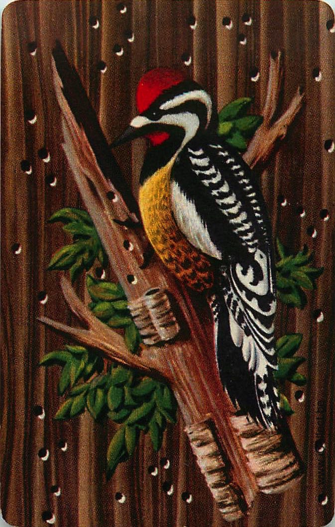 Single Swap Playing Cards Bird (PS12-12G) - Click Image to Close