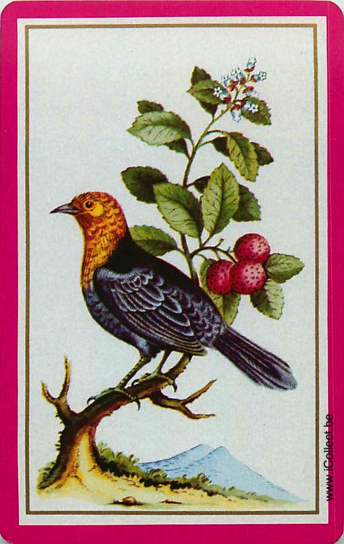 Single Swap Playing Cards Bird (PS12-17D) - Click Image to Close