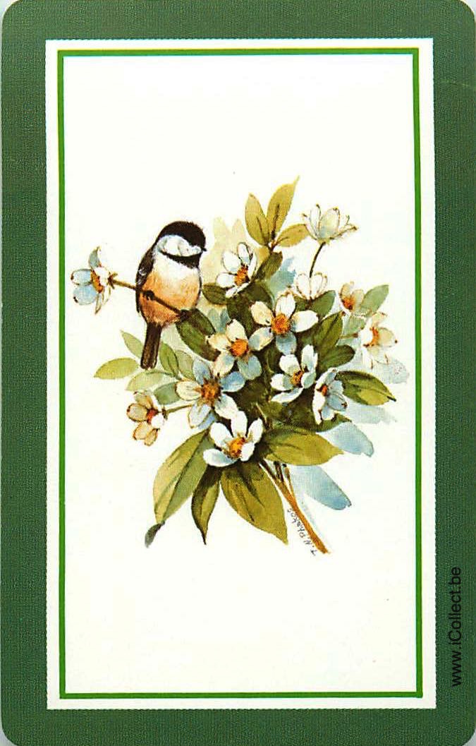 Single Swap Playing Cards Bird (PS12-17G)