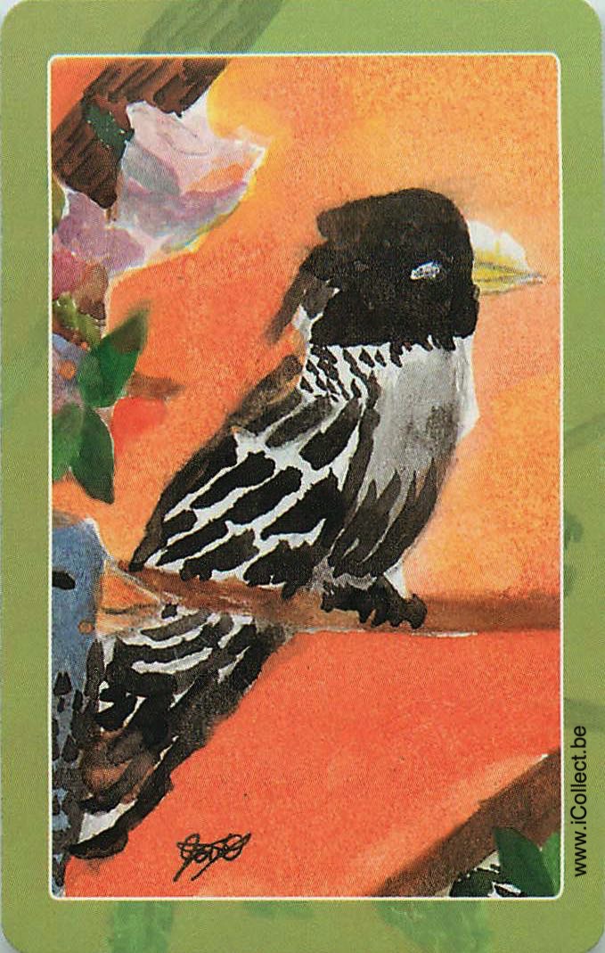 Single Swap Playing Cards Bird (PS12-21F)