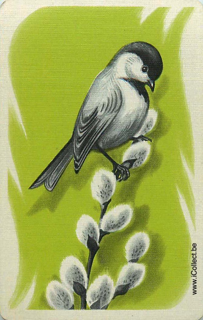 Single Swap Playing Cards Bird (PS12-26I) - Click Image to Close