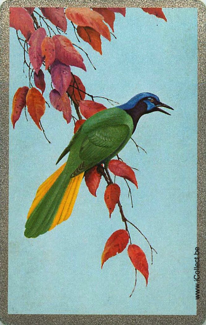 Single Swap Playing Cards Bird (PS12-27B) - Click Image to Close