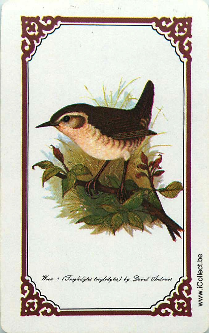 Single Swap Playing Cards Bird (PS12-31A)