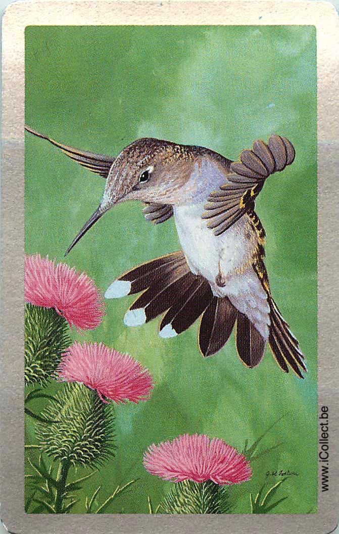 Single Swap Playing Cards Bird (PS12-37E) - Click Image to Close