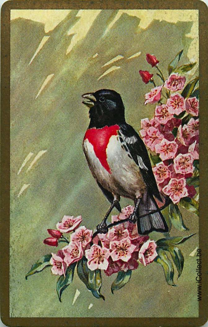 Single Swap Playing Cards Bird (PS12-39B)