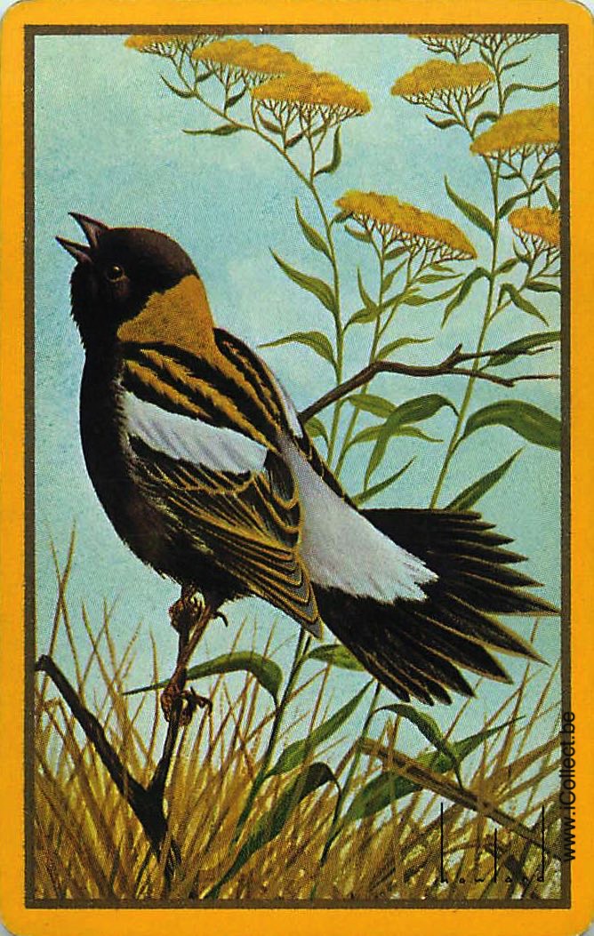 Single Swap Playing Cards Bird Howland (PS12-41F)