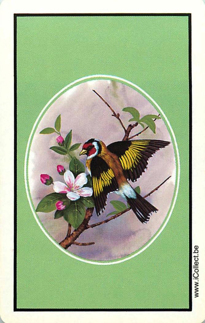 Single Swap Playing Cards Bird (PS12-41I)