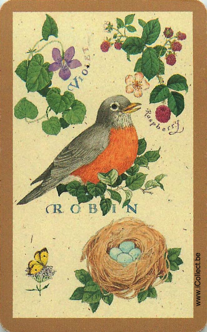 Single Swap Playing Cards Bird Robin (PS12-42D) - Click Image to Close