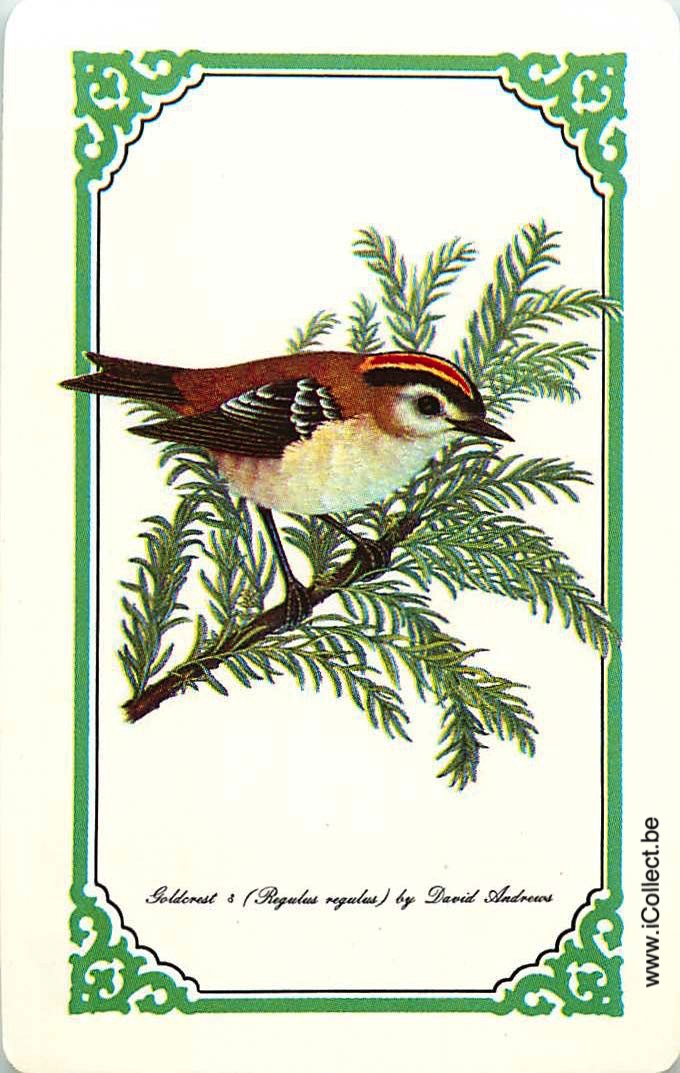 Single Swap Playing Cards Bird (PS12-46I)