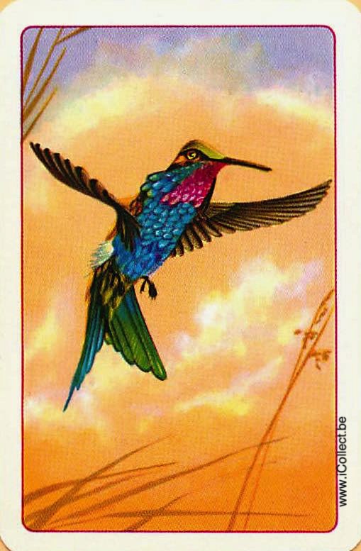 Single Swap Playing Cards Bird ** Mini ** (PS12-47B) - Click Image to Close