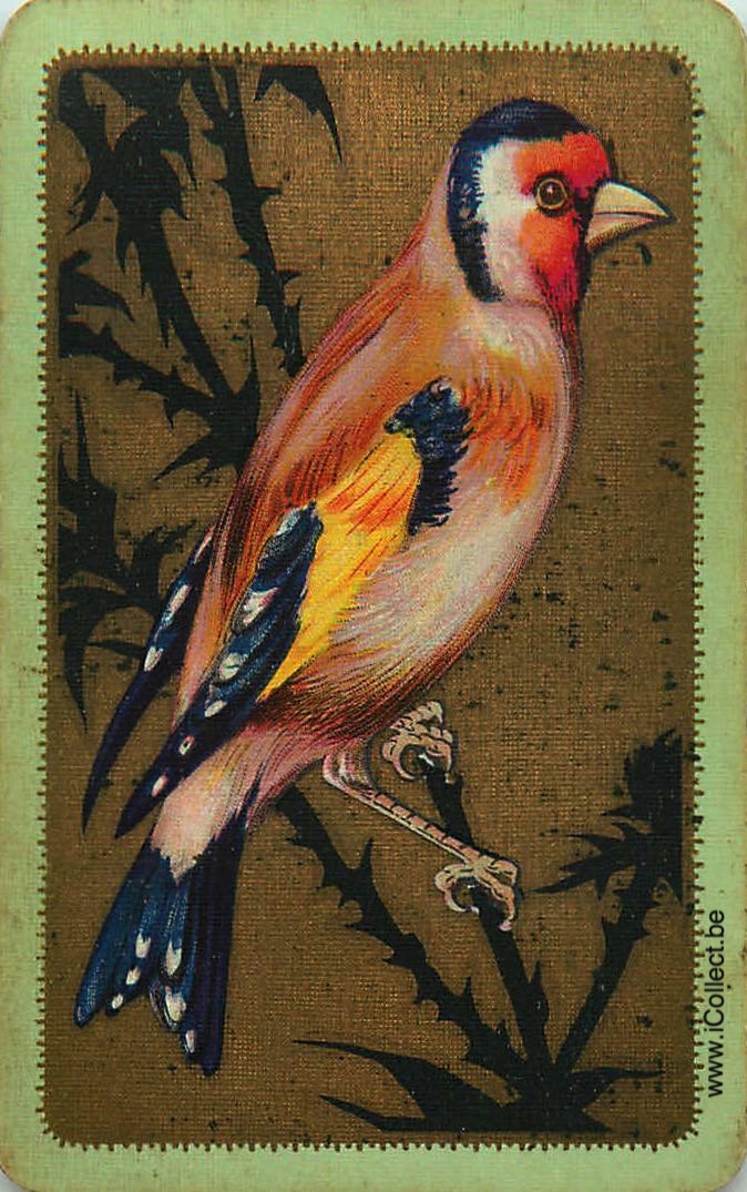 Single Swap Playing Cards Bird (PS18-51F)