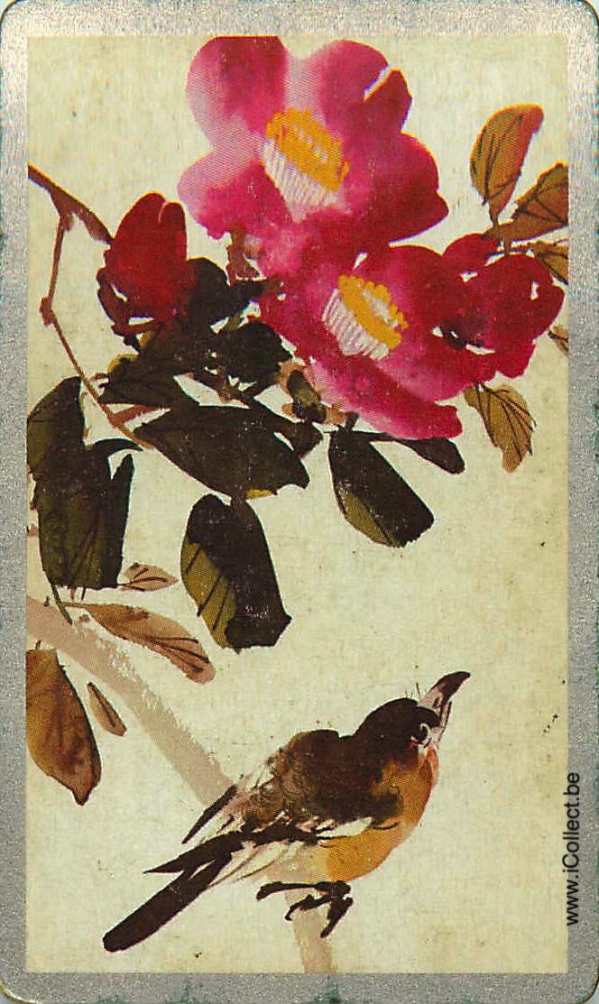 Single Swap Playing Cards Bird (PS18-54E)