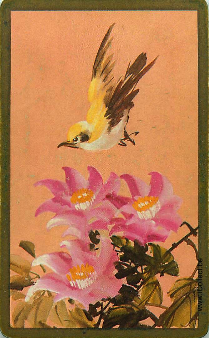 Single Swap Playing Cards Bird (PS18-54F)