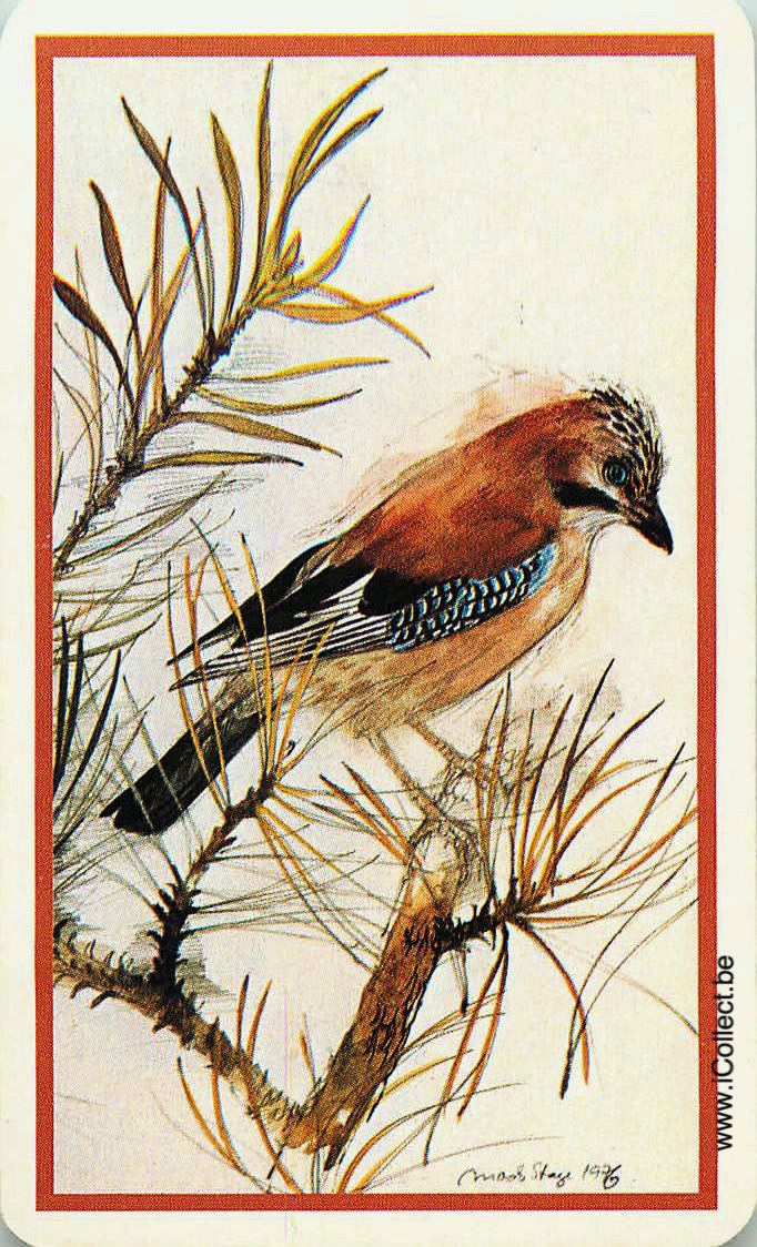 Single Swap Playing Cards Bird (PS18-54I)