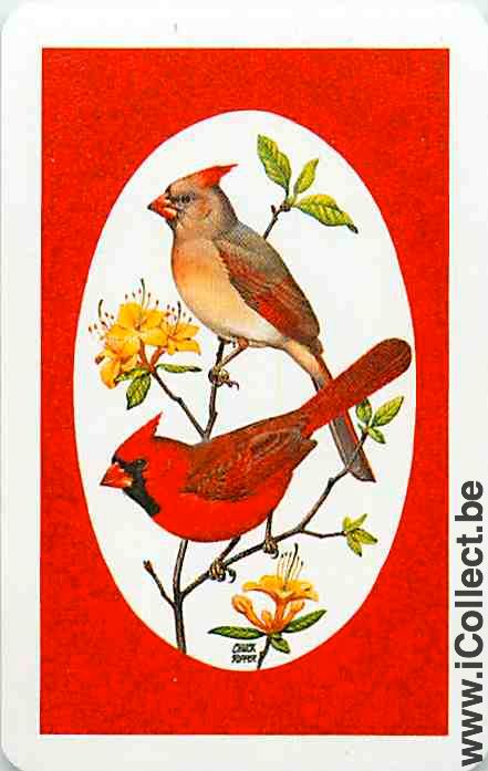 Single Swap Playing Cards Animal Birds (PS12-34E) - Click Image to Close