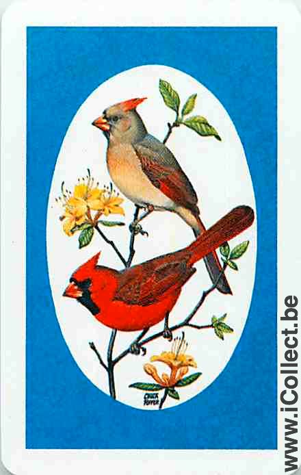 Single Swap Playing Cards Animal Birds (PS12-34F)