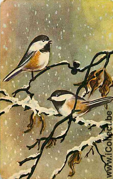 Single Swap Playing Cards Animal Birds (PS12-35C) - Click Image to Close