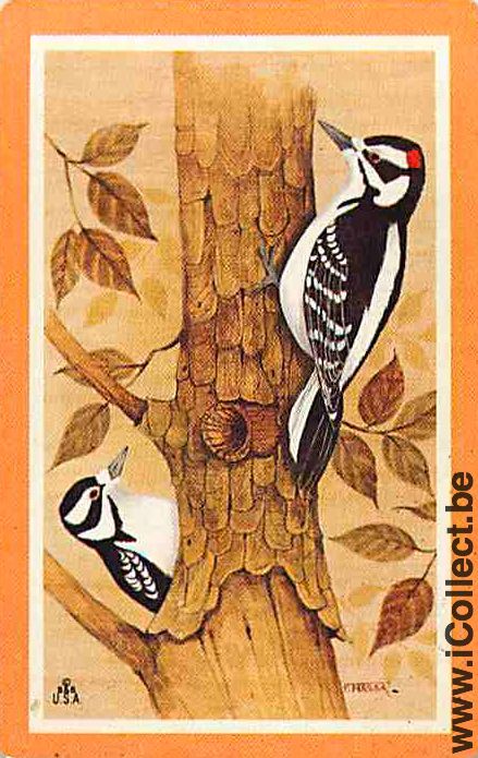Single Swap Playing Cards Animal Birds (PS12-35D)