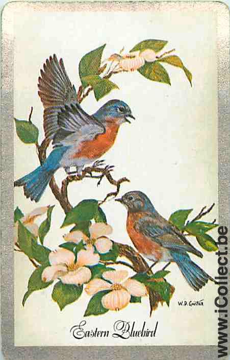 Single Swap Playing Cards Animal Birds (PS12-35E)