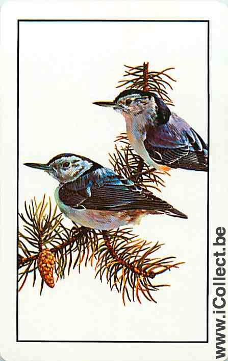Single Swap Playing Cards Animal Birds (PS12-35I)