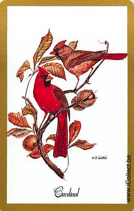 Single Swap Playing Cards Bird Cardinal (PS20-50E)