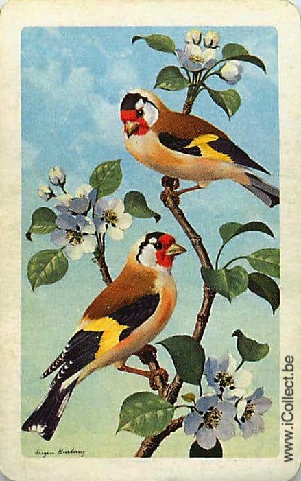 Single Swap Playing Cards Bird (PS20-51D)