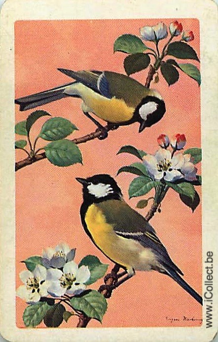 Single Swap Playing Cards Bird (PS20-51E)