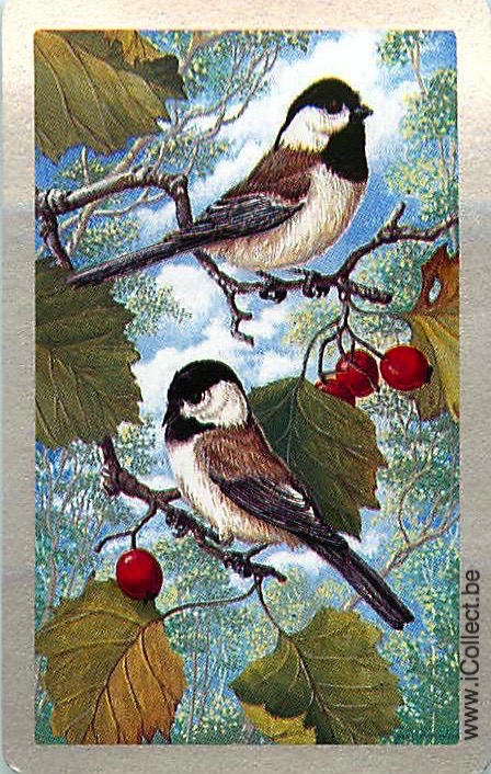 Single Swap Playing Cards Birds (PS23-08A)