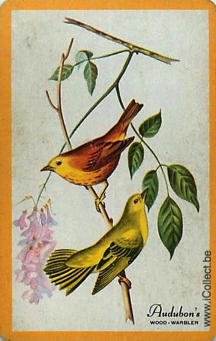 Single Swap Playing Cards Bird Birds Audubon's (PS19-02C)