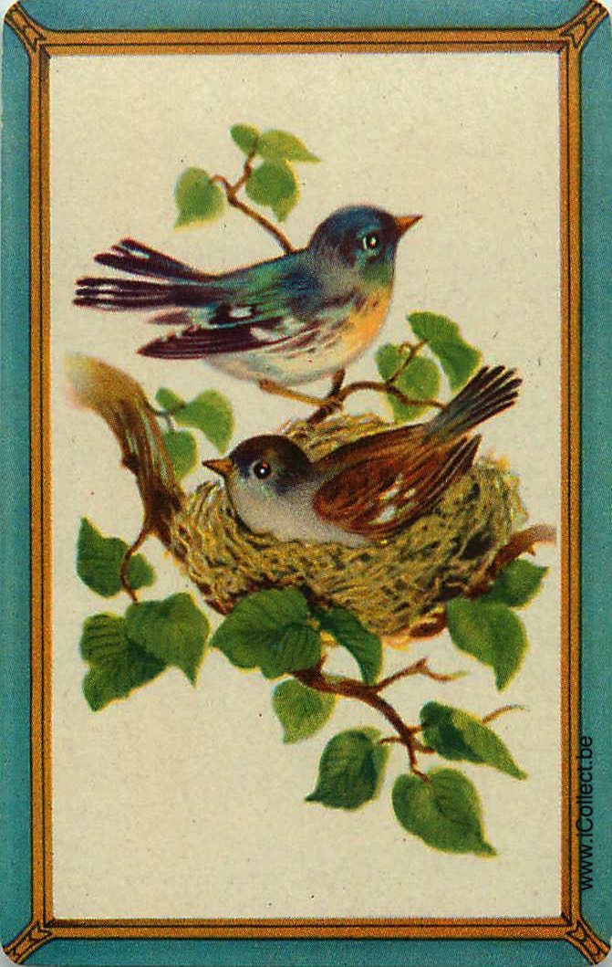 Single Swap Playing Cards Bird (PS11-11B) - Click Image to Close