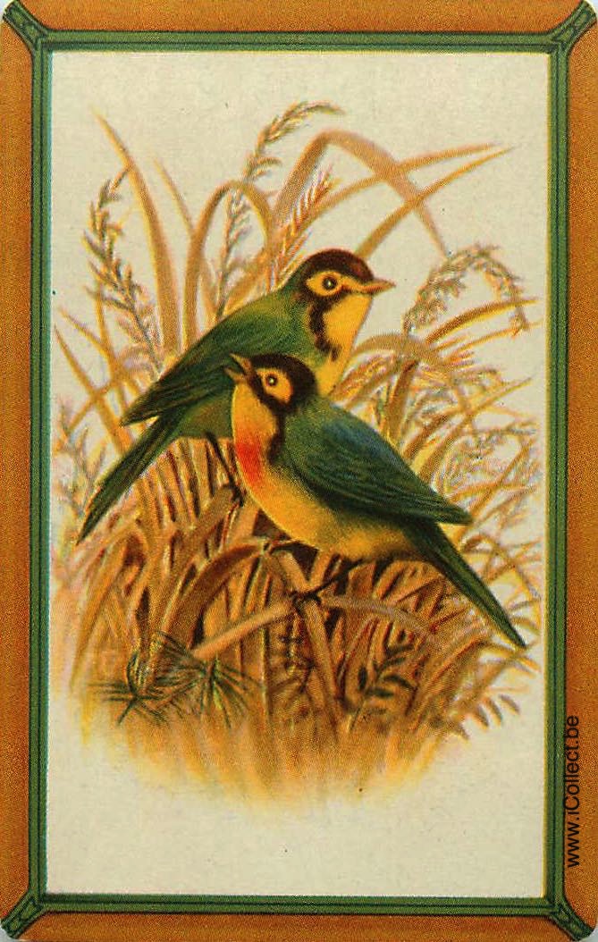 Single Swap Playing Cards Bird (PS11-11E) - Click Image to Close