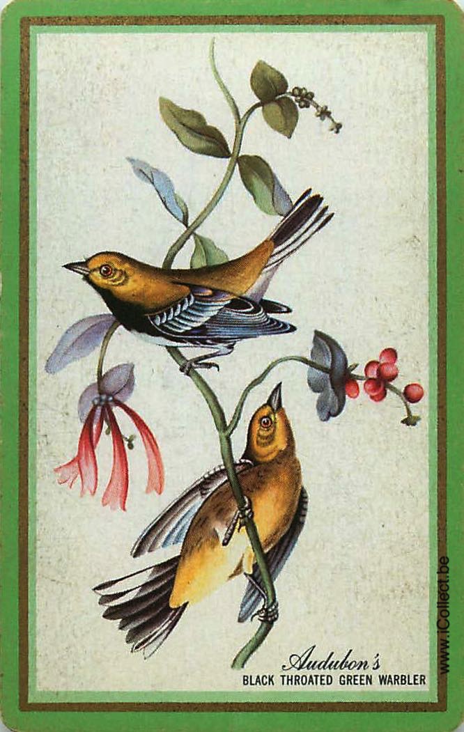 Single Swap Playing Cards Bird Warbler (PS11-12I)