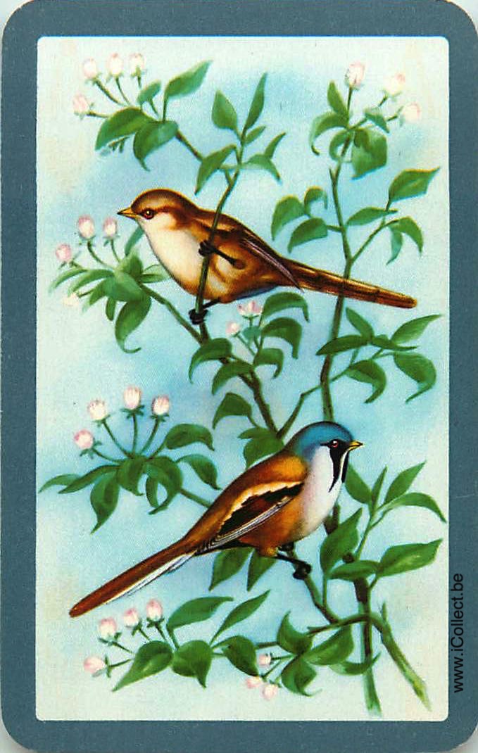 Single Swap Playing Cards Bird (PS11-15H)