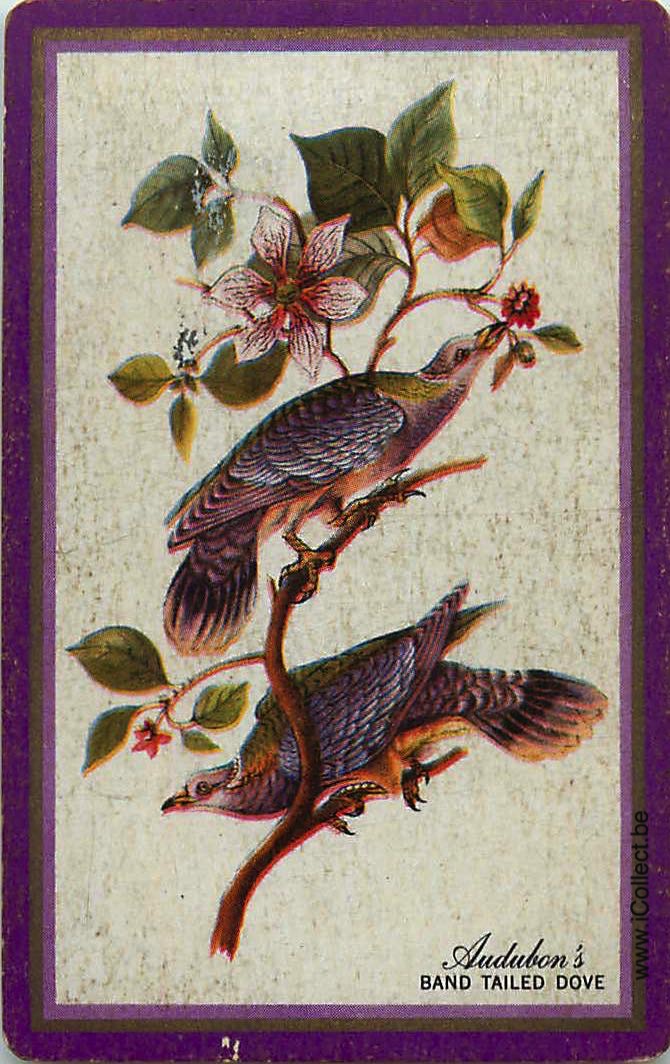 Single Swap Playing Cards Bird Audubon's (PS11-17G) - Click Image to Close