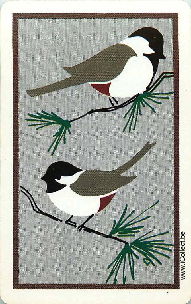 Single Swap Playing Cards Bird (PS11-18B) - Click Image to Close