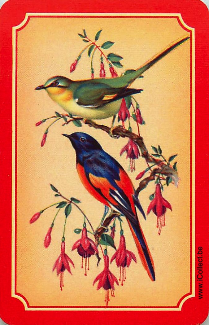 Single Swap Playing Cards Bird (PS11-21B) - Click Image to Close