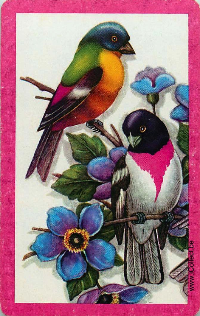 Single Swap Playing Cards Bird (PS11-23H)