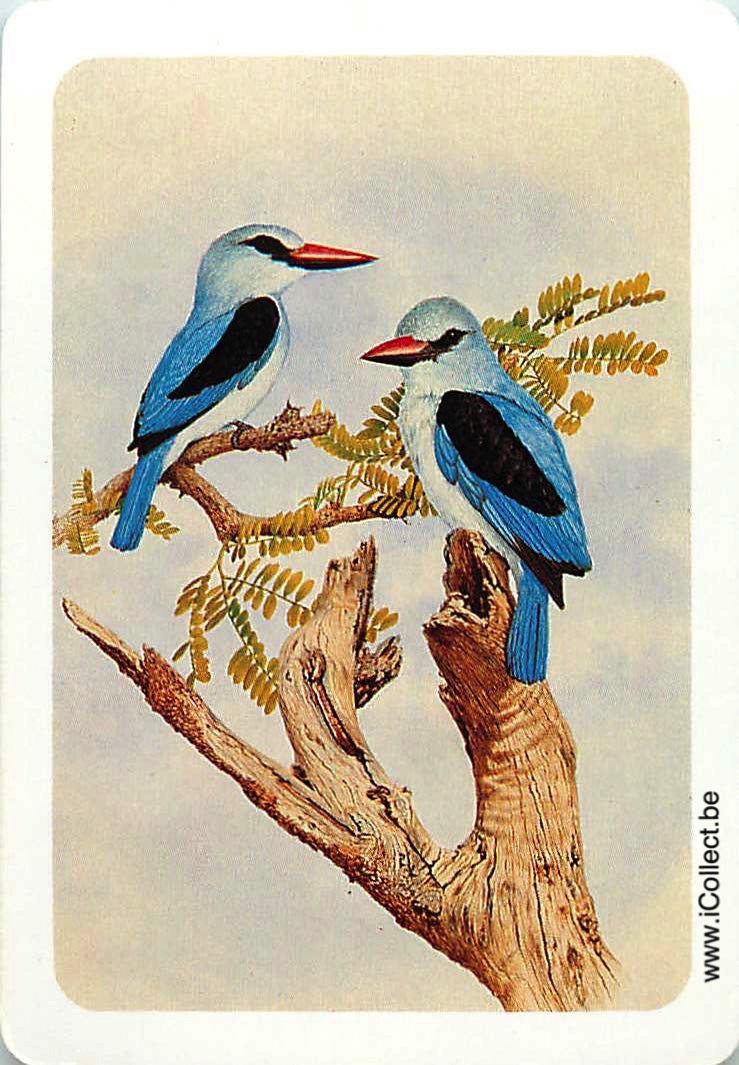 Single Swap Playing Cards Bird (PS11-25A) - Click Image to Close