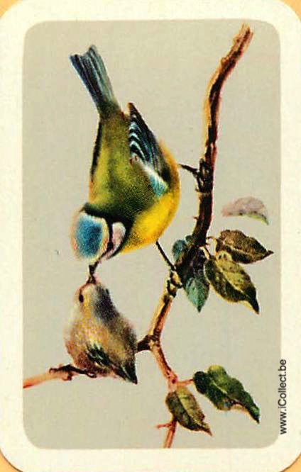 Single Swap Playing Cards Bird ** Mini ** (PS11-27E) - Click Image to Close